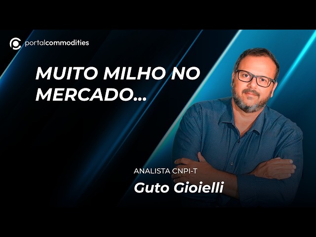 Muito milho no mercado agora e depois...