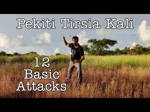 12 Basic Attacks of Pekiti Tirsia Kali Explained I Abecedario Breakdown