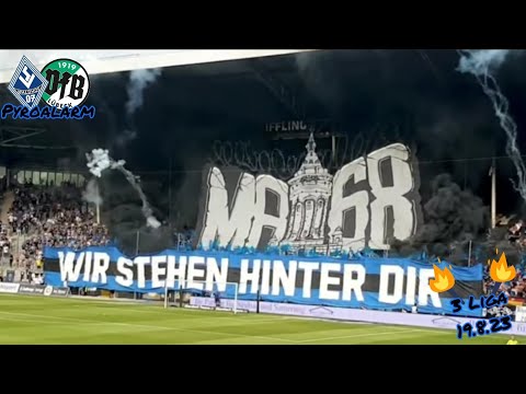 SV Waldhof Mannheim Pyro gegen VfB Lübeck 19.8.23 #pyroalarm #svw #3liga
