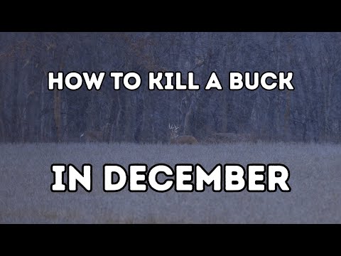 Late Season Deer Hunting: The Best December Tactics to Kill Big Bucks