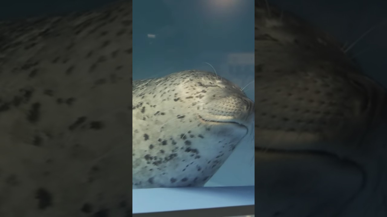 YouTube Short thumbnail