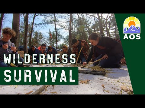 Wilderness Survival