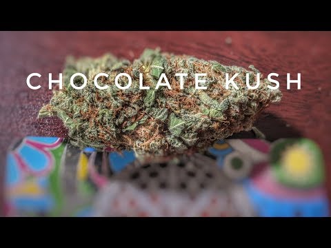 Strain Review - Clk - Chocolate Kush - MMJ Total Health Care