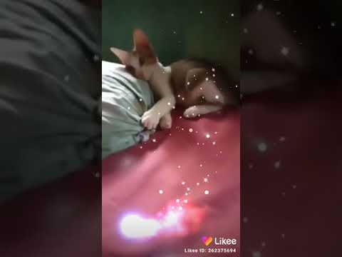 Jab Pyer Ruth Jata Hai