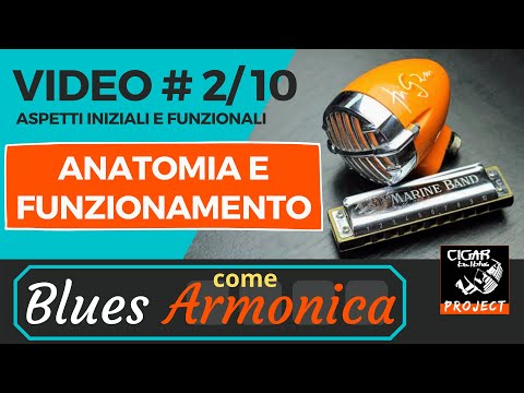 BcA – 02 Anatomia e Funzionamento dell’Armonica