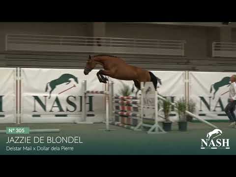 N°305-JAZZIE DE BLONDEL - From 20th to 24th of october 2022 / NASH Elite Auction