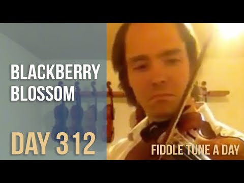 Blackberry Blossom - Fiddle Tune a Day - Day 312