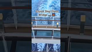 🚢😱 भाई यह क्या Cruise Ship हैं, जरूर देखे!#viewersloverviews