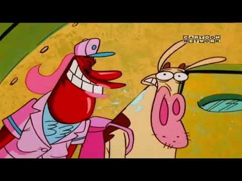 Cow and Chicken