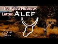1. Alef | Introduction to the Paleo Hebrew Alphabet