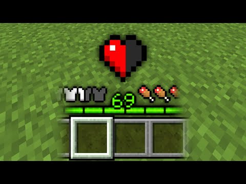 One Heart Minecraft Challenge