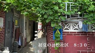 初夏の北京　社区を歩く| 2026.6
