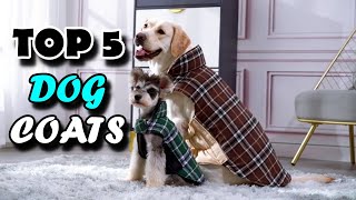 Top 5 Best Dog Coats In 2021
