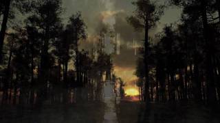 A Dream That Seemed So Real