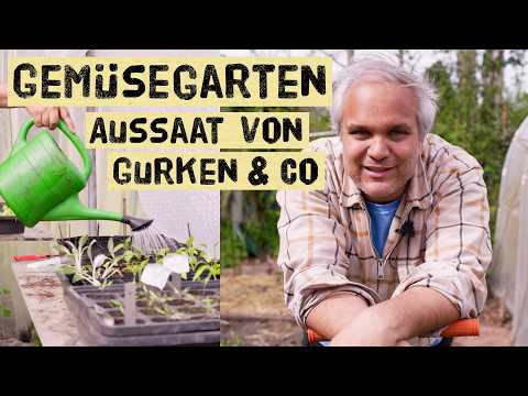 April-Garten: Spargel, Rhabarber, Gurken & Melonen säen