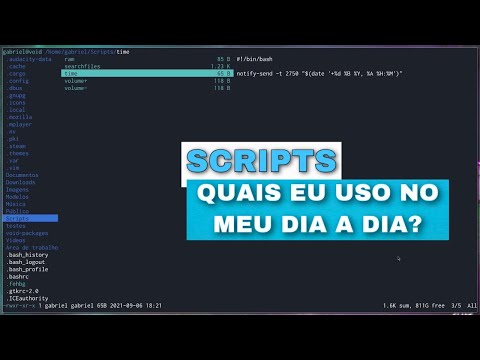 SCRIPTS - Quais eu uso no meu dia a dia?