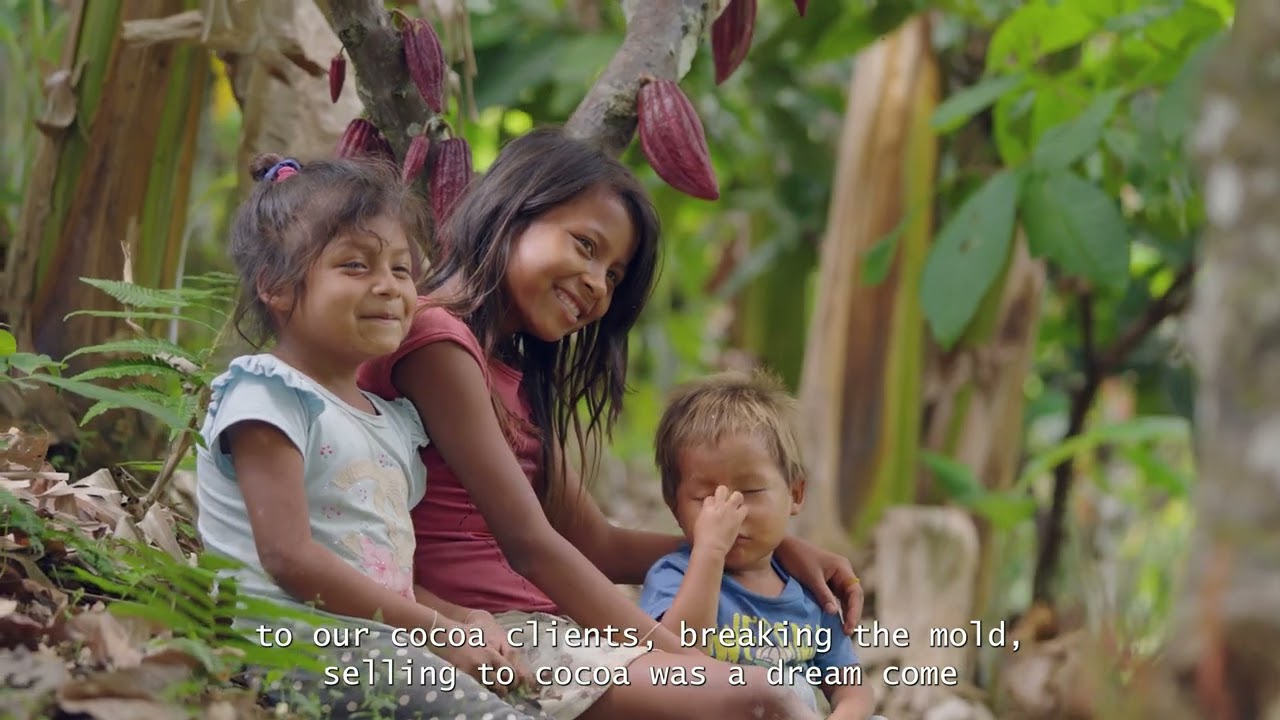 Cacao Hunters