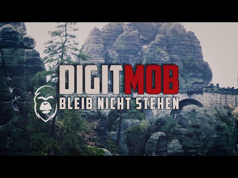 DIGIT MOB  -  BLEIB NICHT STEHEN