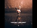 Hidden Secret Reflection Official