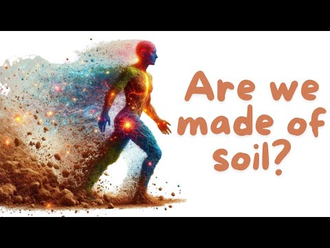 Are We Made of Soil? – The Truth About Human Body Elements