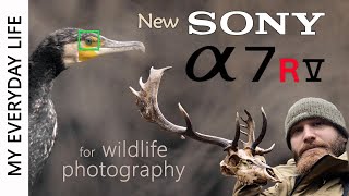 I got the new SONY a7RV & DEER SKULL FOUND | Birdphotography | Wildlife photograpy |Camera test|Vlog