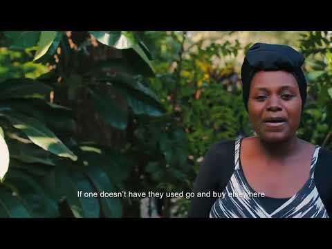 Inshita- Final Warning Singers Vol 9