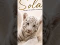 Homepage 1 Video thumbnail