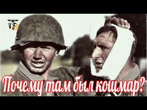 Почему там был кошмар? НКВД против войск СС». военные истории