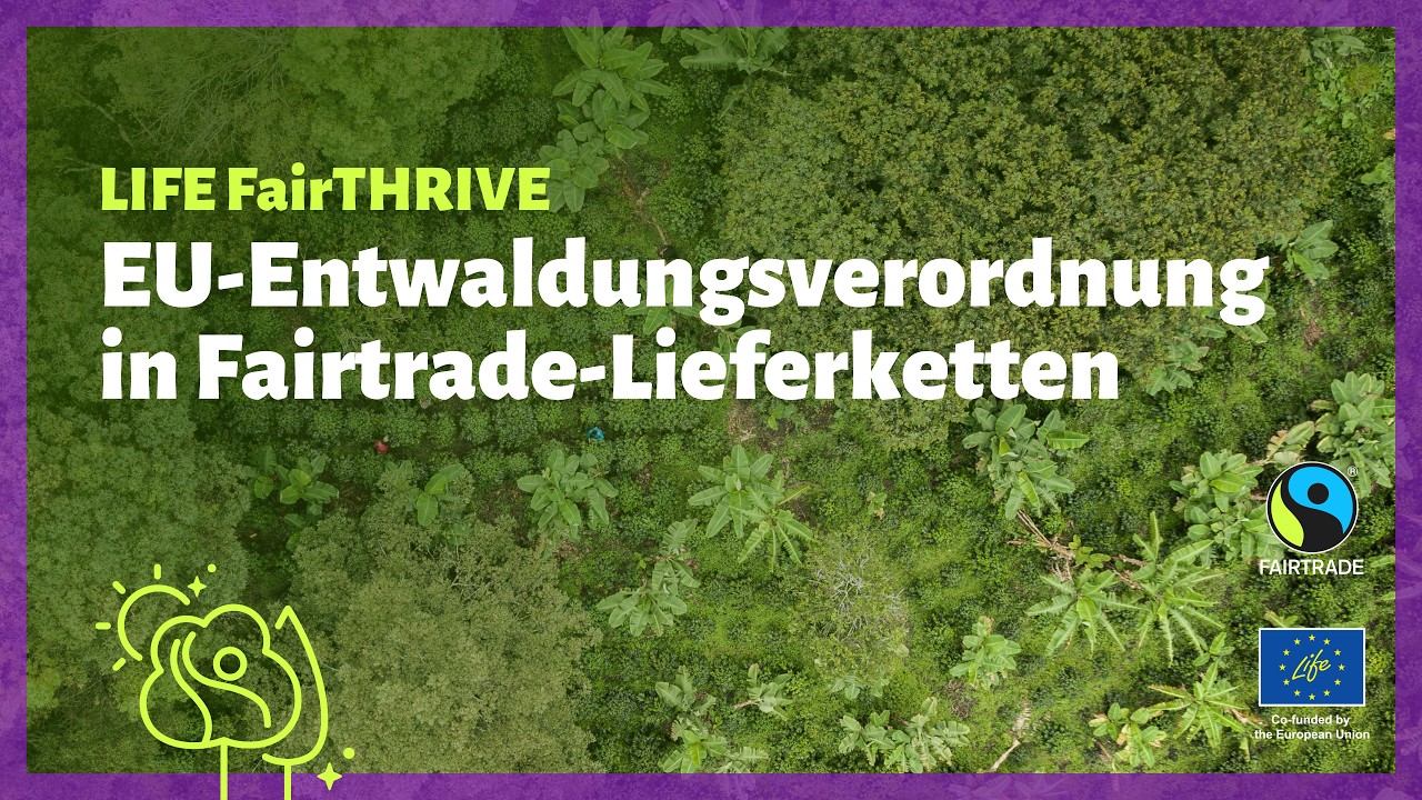 EUDR-Support - EU-Entwaldungsverordnung in Fairtrade-Lieferketten