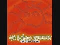 40 Below Summer: Sunburn