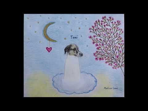 Toni - Melissa Luna (original composition)