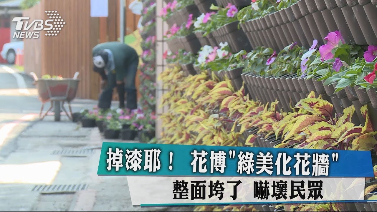 掉漆耶!花博綠美化花牆整面垮了 嚇壞民眾