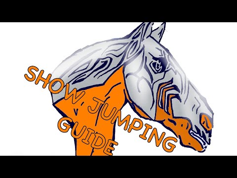 Guide to Show Jumping- Horse Academy