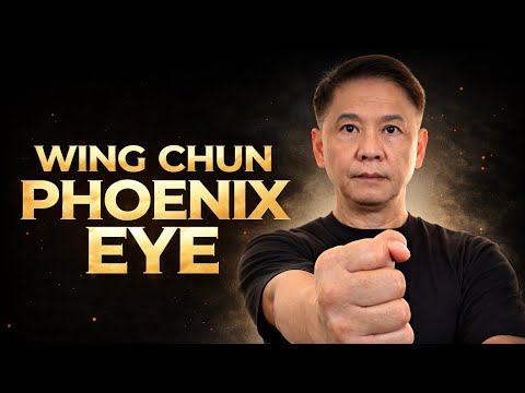 Wing Chun Phoenix Eye Punch — The  Pressure Point Knockout Secret