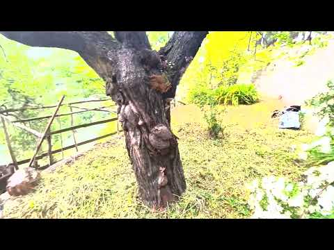 House in Molini di Triora - Liguria