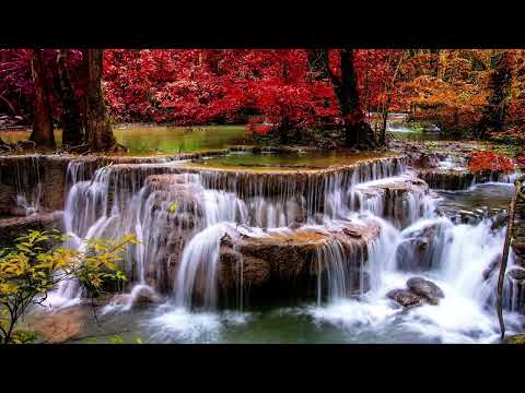 André Rieu ft. Gheorghe Zamfir - The Lonely Shepherd Relaxing Music • Peaceful Piano Music