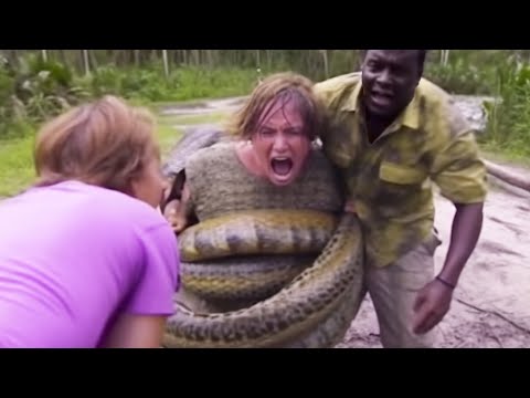 20 DEADLIEST Snake Encounters Caught On Camera