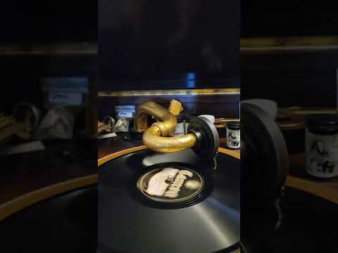 'Till The End O' The World with You - Society Night Club Orchestra Cameo Records #8309 1928