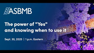 The power of Yes and knowing when to use it