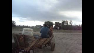 Sfaturile unui om batran