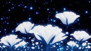 daydreamer - aurora (𝑠𝑙𝑜𝑤𝑒𝑑)