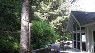 preview picture of video 'Turtle Rock Resort & RV Park - Gold Beach, Oregon'