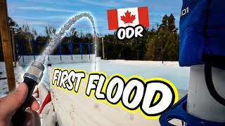 The Fill, The Freeze and the Melt - Backyard Rink Saga