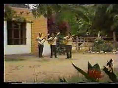 Un Pasajero En El Camino - Los Errantes