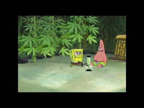 Profi_B - Dridhe nje mall - 2016