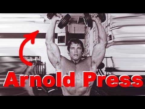 Arnold Press - Schultern trainieren wie Arnold Schwarzenegger