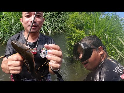 SE02EP17 - Walang AAHON Hanggat WALANG Nahuhuling ISDA ( Catch & Cook ) San Pablo City, Laguna