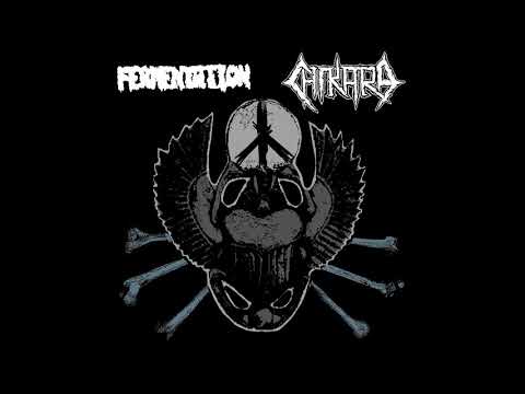 Fermentation / Chikara - Full Split [2019 Grindcore / Raw Hardcore Crust]