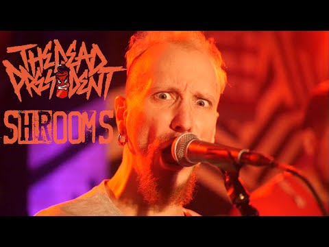 the Dead President (+Interview) the Shrooms live im Gängeviertel