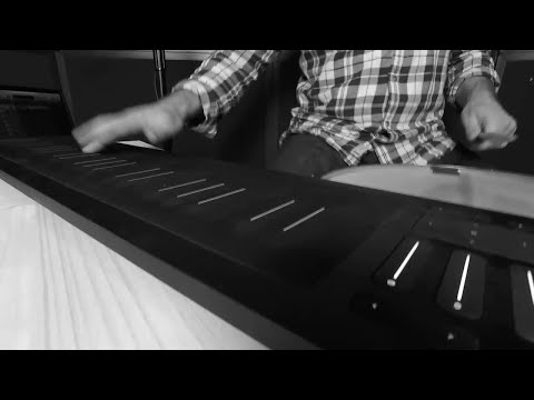 Roli Seaboard Rise 49, Drums, Vocals 1 - Michael Sykes